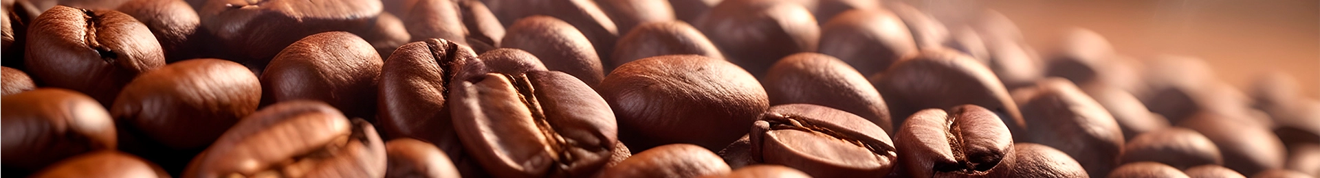 Banner para a categoria Thermocoffee, com zoom nos grãos de café