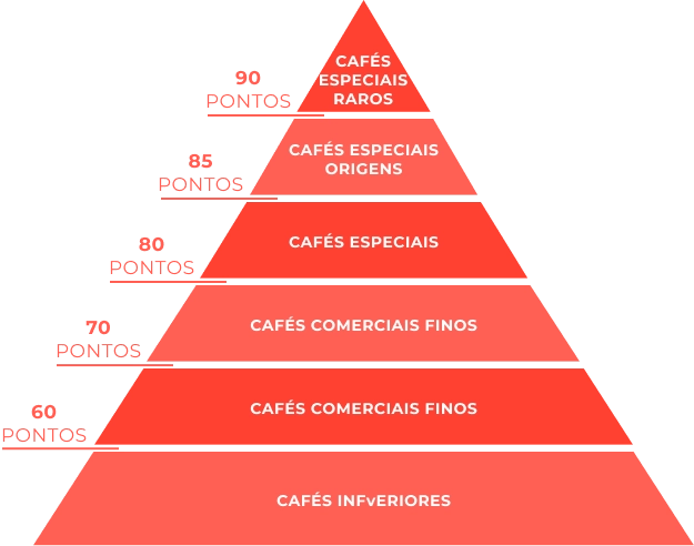 O que é um Café Especial? - Pirâmide de Pontos