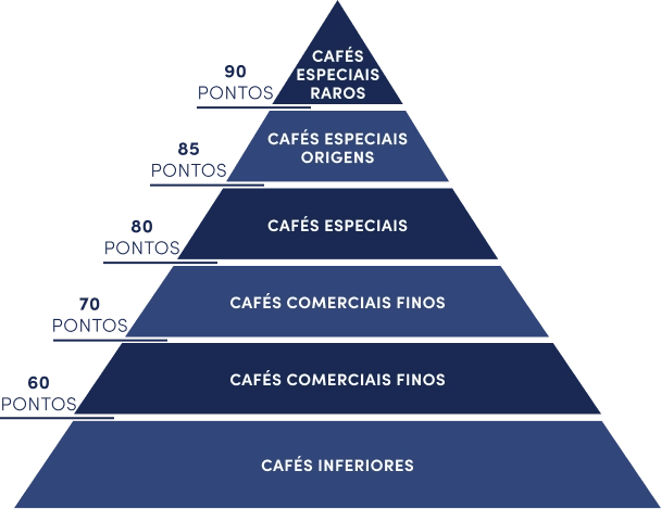 O que é um Café Especial? - Pirâmide de Pontos